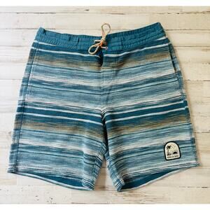 Mens Striped Howler Bro. Bruja Boardshorts sz 34 EUC